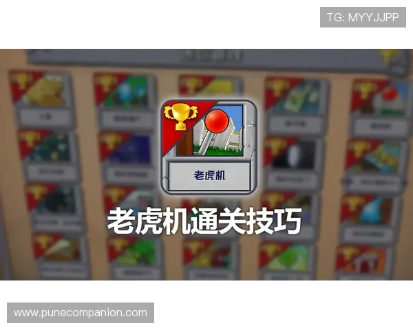 最新老虎机攻略助你轻松赢取大奖全面解析游戏规则与技巧掌握最新老虎机玩法提升中奖几率的实用攻略大全